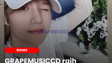 GRAPEMUSICCD raih RM197,000 sen di eBay.com